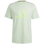 Camiseta Adidas TR-ES FR Logo Brgrin/Negro (IT5416)