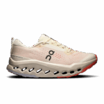 Create Small PNG-3WF30103297-cloudsurfer_trail_2-fw25-ivory_salmon-w-g1