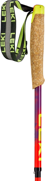 65625891_D